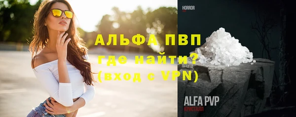 spice Богородицк