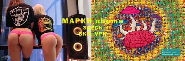 spice Богородицк
