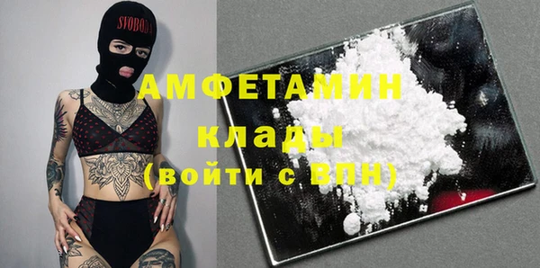 spice Богородицк