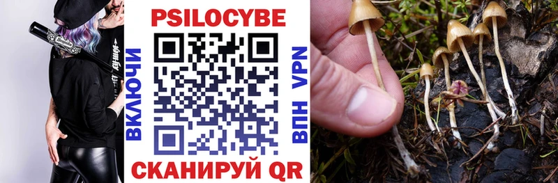 наркотики Тотьма Псилоцибиновые грибы Psilocybine cubensis
