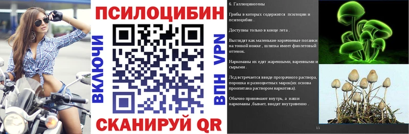 Псилоцибиновые грибы Cubensis Тотьма
